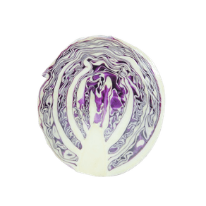 REPOLHO ROXO UNIDADE REPOLHO ROXO UNIDADE