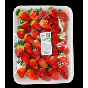 MORANGO BANDEJA 1KG