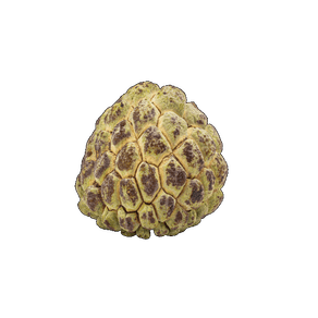 PINHA UNIDADE PINHA UNIDADE