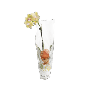 FLOR PHALAENOPSIS MINI P06 FLOR PHALAENOPSIS MINI P06