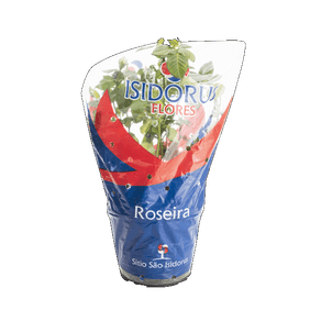 FLOR ROSEIRA MINI P15