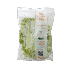 ALFACE CRESPA VIVARIS 120GR PCT ALFACE CRESPA VIVARIS 120GR PCT