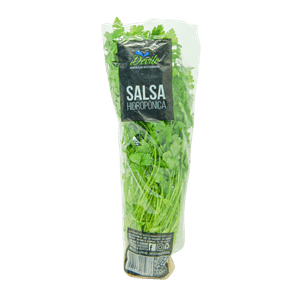 SALSA DEVILE HIDROPÔNICO UNIDADE SALSA DEVILE HIDROPÔNICO UNIDADE