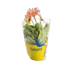 FLOR GERBERA MINI 3FLORES P14 FLOR GERBERA MINI 3FLORES P14