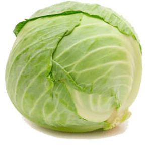 REPOLHO VERDE UNIDADE REPOLHO VERDE UNIDADE