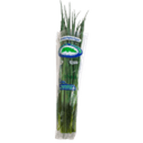 CEBOLA VERDE ORGÂNICA FIGUEIRA UNIDADE CEBOLA VERDE ORGÂNICA FIGUEIRA UNIDADE