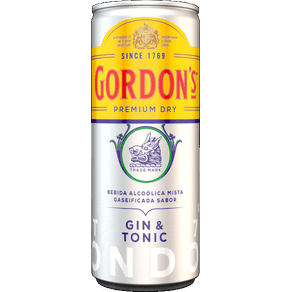 Gordon's & Tonic 269ml