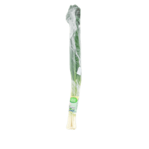 ALHO PORÓ CHEIRO VERDE ALHO PORÓ CHEIRO VERDE