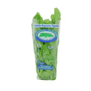 ALMEIRÃO ORGÂNICO FIGUEIRA UNIDADE ALMEIRÃO ORGÂNICO FIGUEIRA UNIDADE