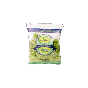 ALFACE CRESPA ALENTO DA TERRA PACOTE 200G ALFACE CRESPA ALENTO DA TERRA PACOTE 200G