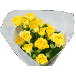 FLOR MACO ROSA SPRAY VARIADO