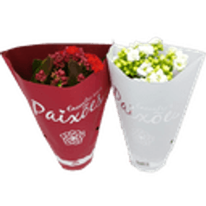 FLOR KALANCHOE DOBRADO PAIXOES P11 FLOR KALANCHOE DOBRADO PAIXOES P11