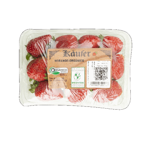 MORANGO ORGÂNICO BANDEJA MORANGO ORGÂNICO BANDEJA