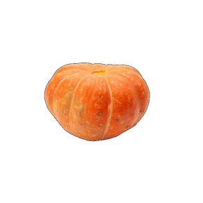 ABÓBORA MINI PREÇO POR KG ABÓBORA MINI PREÇO POR KG