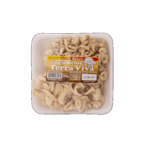 COGUMELO SHIMEJI TERRA VIVA 200G COGUMELO SHIMEJI TERRA VIVA 200G