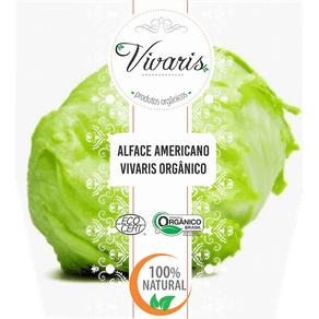 ALFACE AMERICANA 150GR VIVARIS BDJ