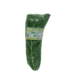 COUVEMINEIRAALENTODATERRAPCT COUVEMINEIRAALENTODATERRAPCT