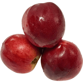 NECTARINANACIONALKG NECTARINANACIONALKG