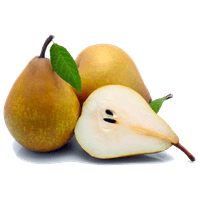 PERAPORTUGUESAKG