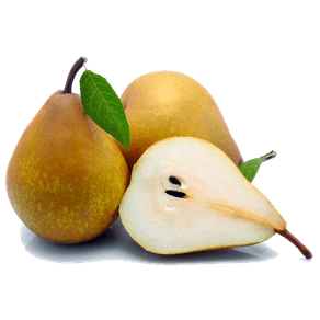 PERAPORTUGUESAKG PERAPORTUGUESAKG