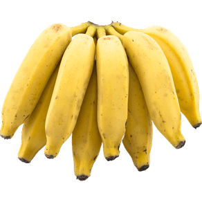 BANANAKGBRANCA BANANAKGBRANCA