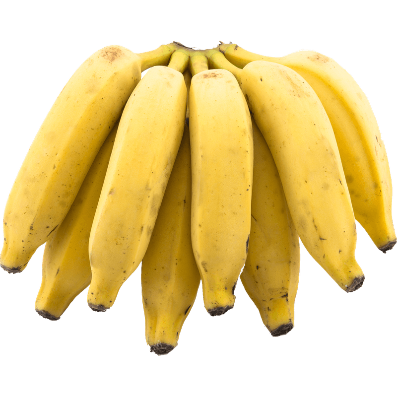 Arquivo de Banana - Portal dos Miúdos