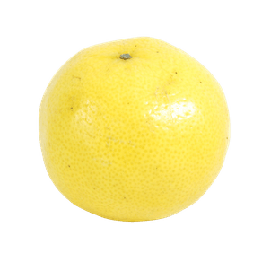 LIMAKGPERSIA LIMAKGPERSIA