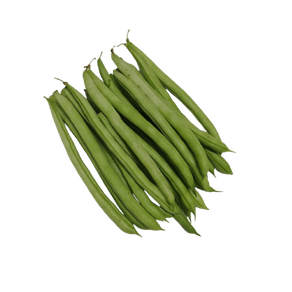 VAGEMVERDEKG VAGEMVERDEKG