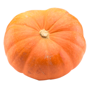 ABOBORAKGMORANGA ABOBORAKGMORANGA