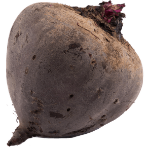 BETERRABAKG BETERRABAKG