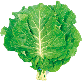 COUVEMANTEIGAMOLHO COUVEMANTEIGAMOLHO