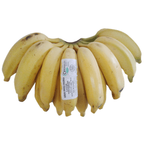 BANANAKGBRANCAORGANICA BANANAKGBRANCAORGANICA