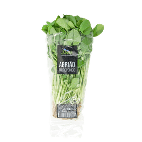 AGRIAODEVILEHIDROPONICOUN AGRIAODEVILEHIDROPONICOUN