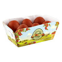 TOMATETREBESHI600GRBACOMOANTIGAMENTE