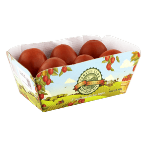 TOMATETREBESHI600GRBACOMOANTIGAMENTE TOMATETREBESHI600GRBACOMOANTIGAMENTE