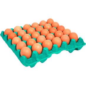 OVOVERMELHOFRIOLARGBANDC-30 OVOVERMELHOFRIOLARGBANDC-30