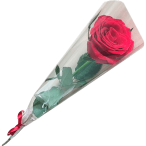 FLORROSABOTAO