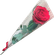 FLORROSABOTAO