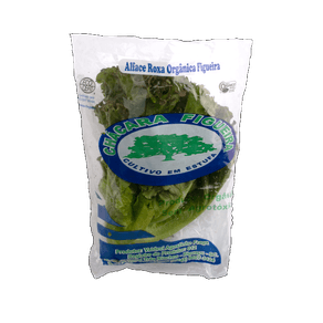 ALFACE ROXA ORGANICO FIGUEIRA ALFACE ROXA ORGANICO FIGUEIRA