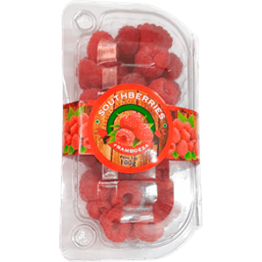 FRAMBOESA BANDEJA FRAMBOESA BANDEJA