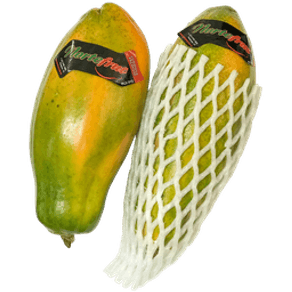 MAMÃO FORMOSA PREÇO POR KG MAMÃO FORMOSA PREÇO POR KG