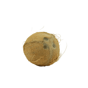 COCO-KG-SECO COCO-KG-SECO