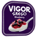 IOGURTE-VIGOR-GREGO-90GR-BLUEBERRY