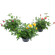 FLOR-ROSEIRA-MINI-P11