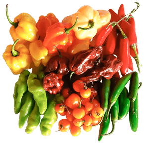 PIMENTAS-DIVERSAS-PRECO-POR-KG PIMENTAS-DIVERSAS-PRECO-POR-KG