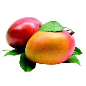 MANGA-TUNIATE-PRECO-POR-KG MANGA-TUNIATE-PRECO-POR-KG