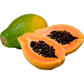 MAMAO-PAPAYA-SELECIONADO-UN MAMAO-PAPAYA-SELECIONADO-UN
