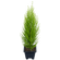 PLANTA-TUIA-HOLANDESA-P09.jpg