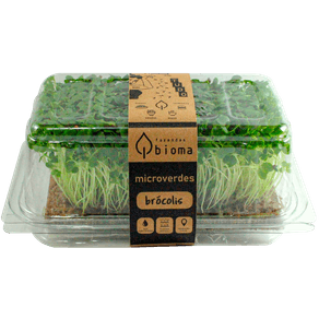 BROTO-MICROVERDE-DIVERSOS.jpg BROTO-MICROVERDE-DIVERSOS.jpg