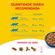 7891000069431-NESTLE®PURINA®FRISKIES®RacaoSecaparaGatosAdultosPeixeeFrutosdoMar3kg-5.jpg
